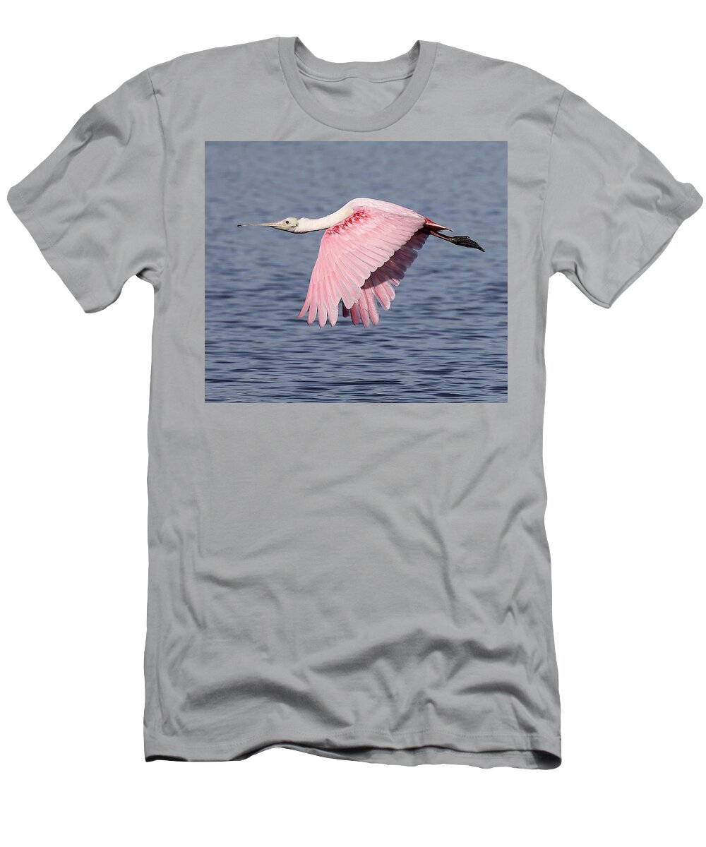 Roseate Spoonbill T-Shirt featuring the photograph Roseate Spoonbill 6 by Mingming Jiang