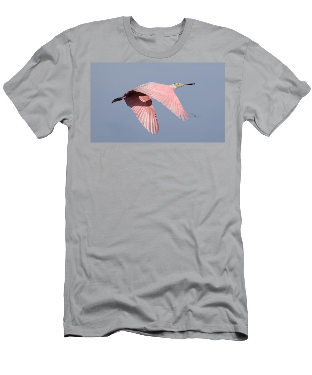 Roseate Spoonbill T-Shirt featuring the photograph Roseate Spoonbill in Flight 3 by Mingming Jiang