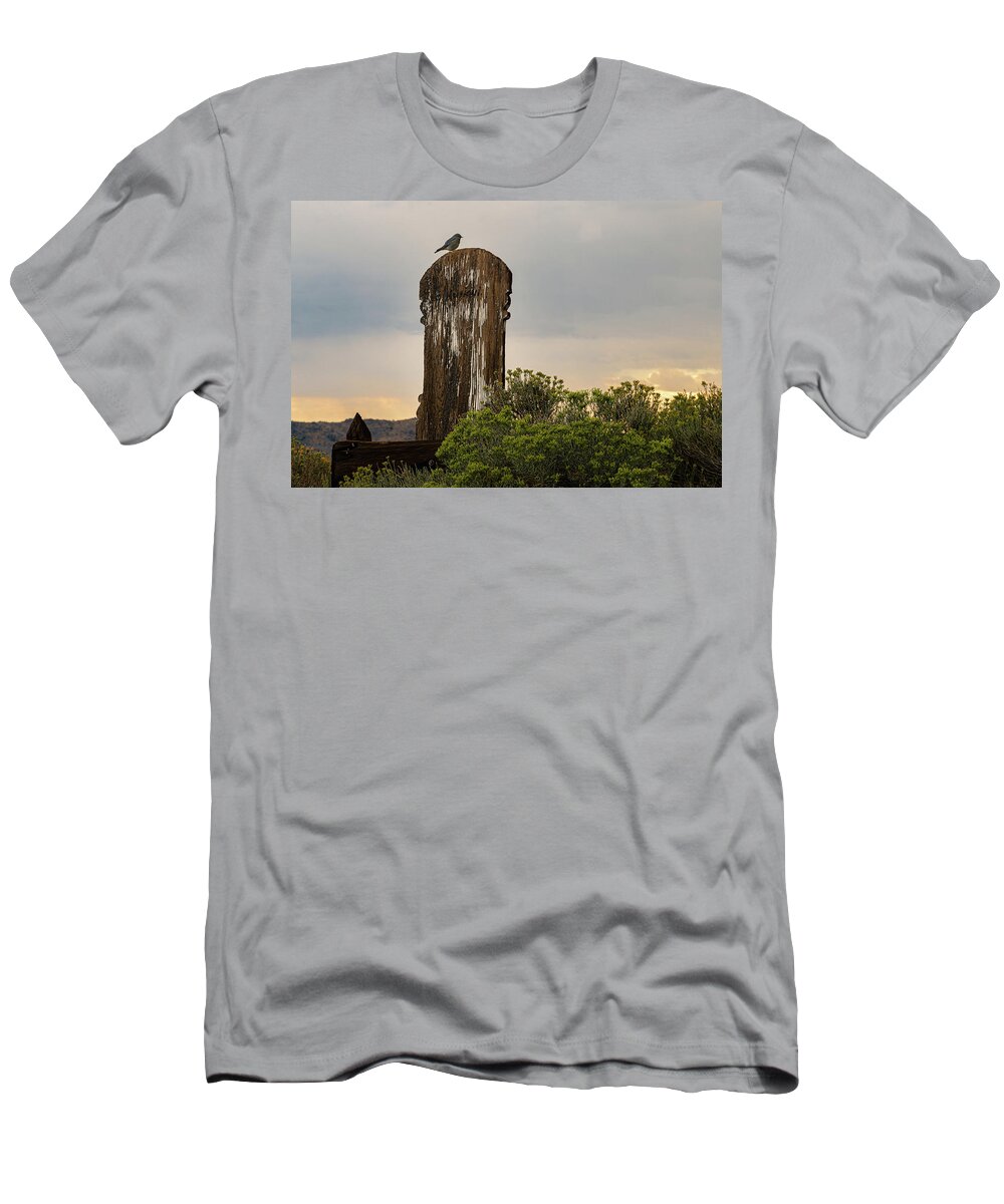Nevada T-Shirt featuring the photograph Sacred Messenger by Mike Lee