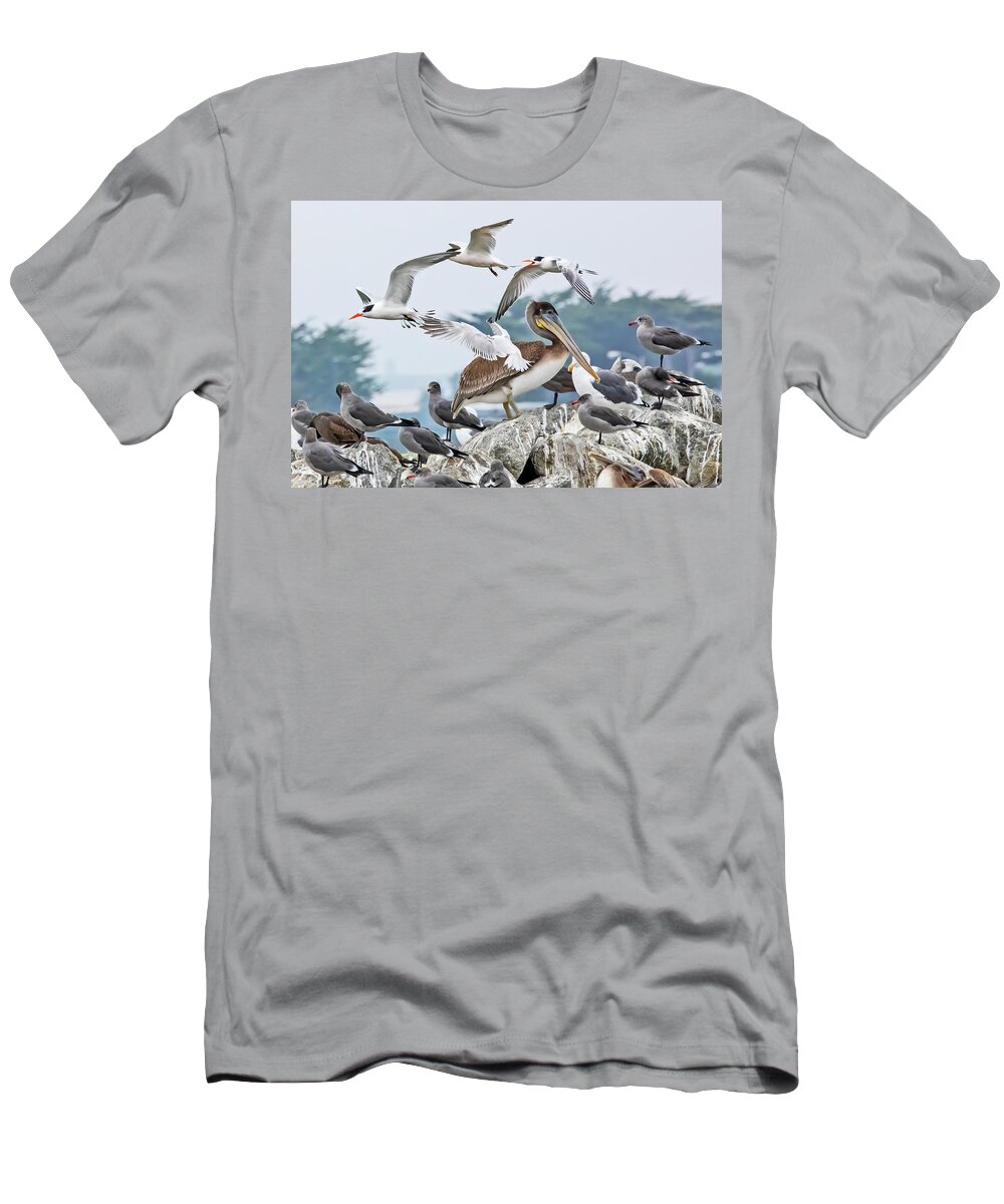  T-Shirt featuring the photograph Sea Birds #1 by Carla Brennan