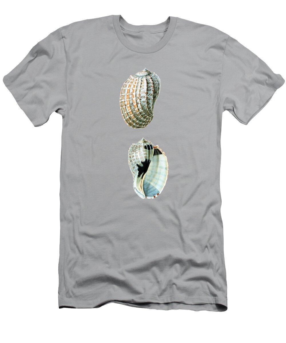 Seashell T-Shirt featuring the mixed media Sea Shells Art by Madame Memento