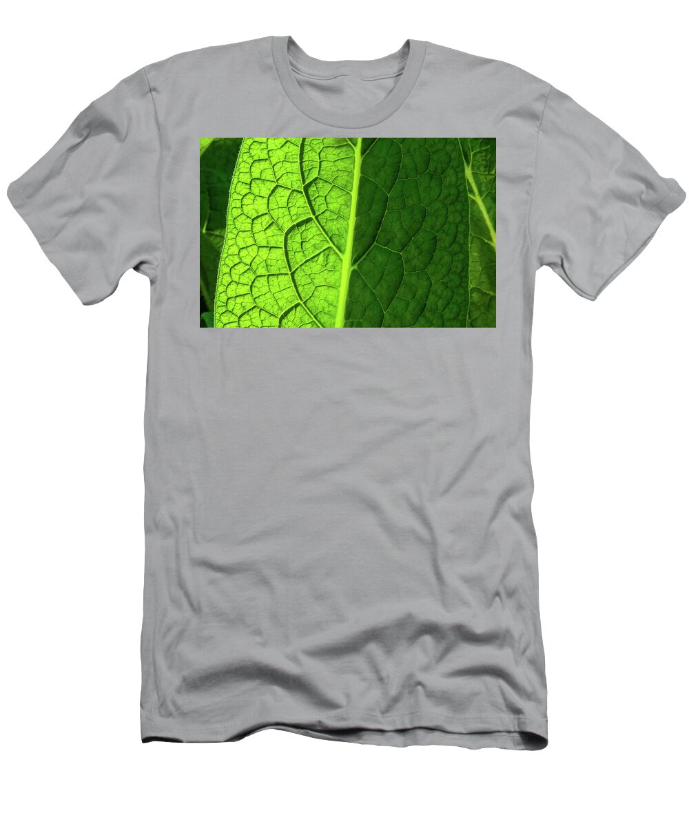 Kauai T-Shirt featuring the photograph Shades of Green II by Doug Davidson