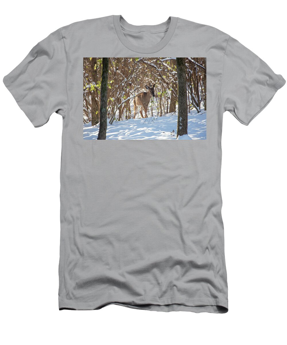 Doe T-Shirt featuring the photograph Snow Doe by Gina Fitzhugh