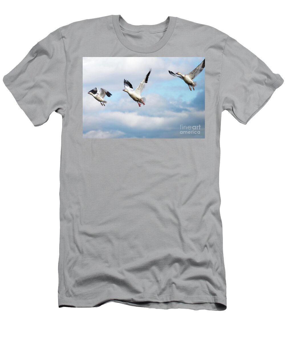 Winter T-Shirt featuring the photograph Snow geese in flight by Rehna George