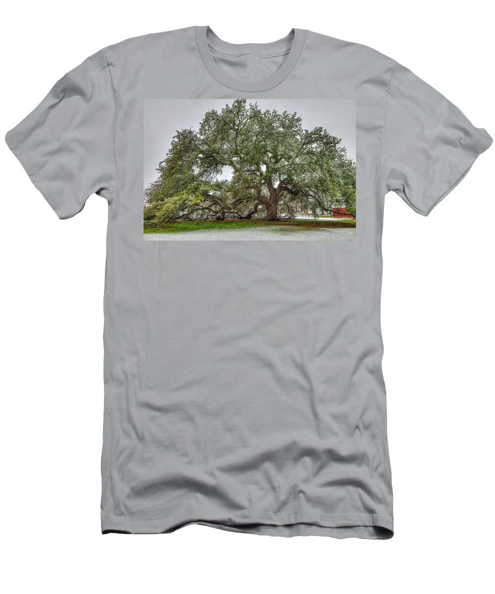 Emancipation Oak T-Shirt featuring the photograph Snowfall on Emancipation Oak Tree by Jerry Gammon