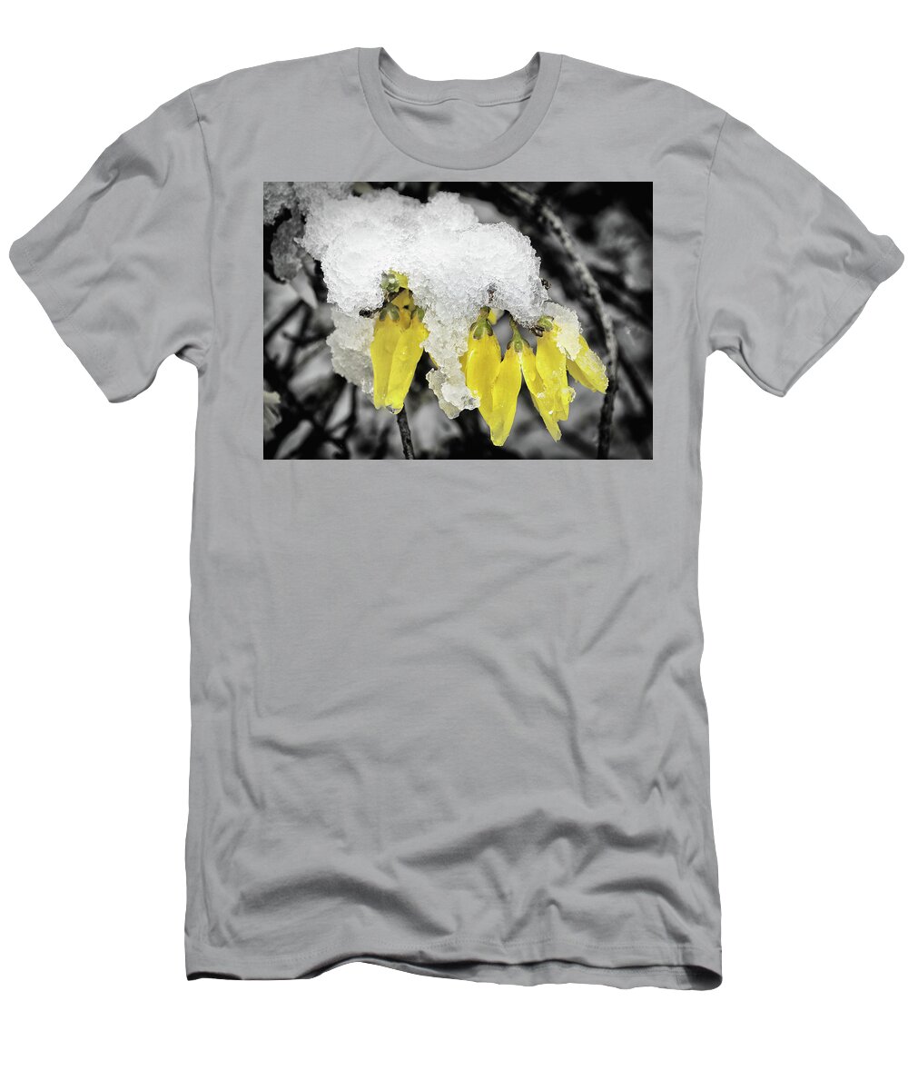 Yellow T-Shirt featuring the photograph Snowsythia by Steven Nelson