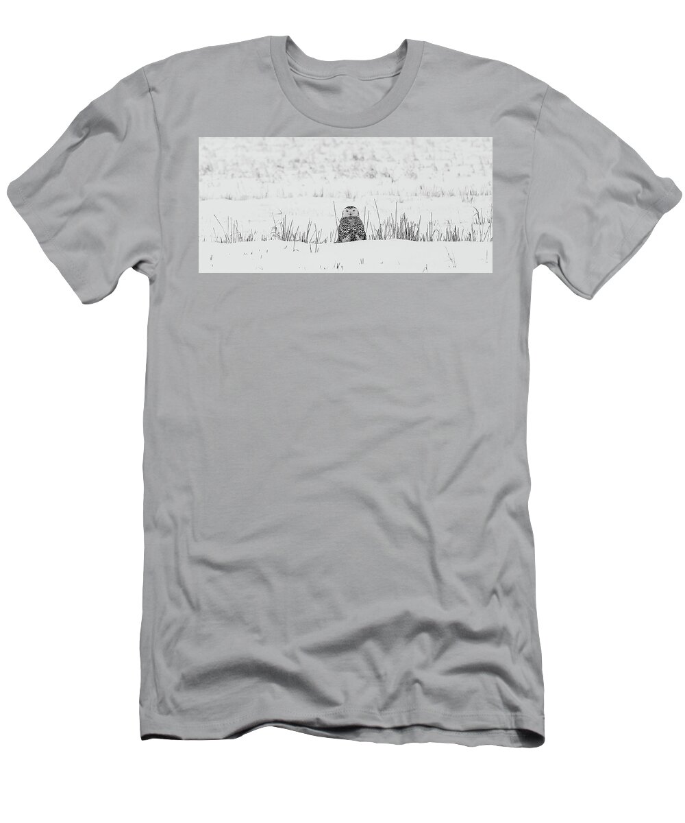 Snowy Owl T-Shirt featuring the photograph Snowy Owl in Snowy Field by Carrie Ann Grippo-Pike