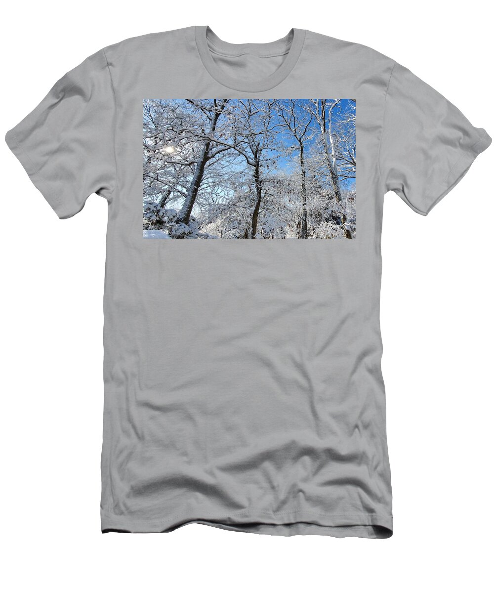Snow Covered T-Shirt featuring the photograph Snowy Trees and Blue Sky by Stacie Siemsen