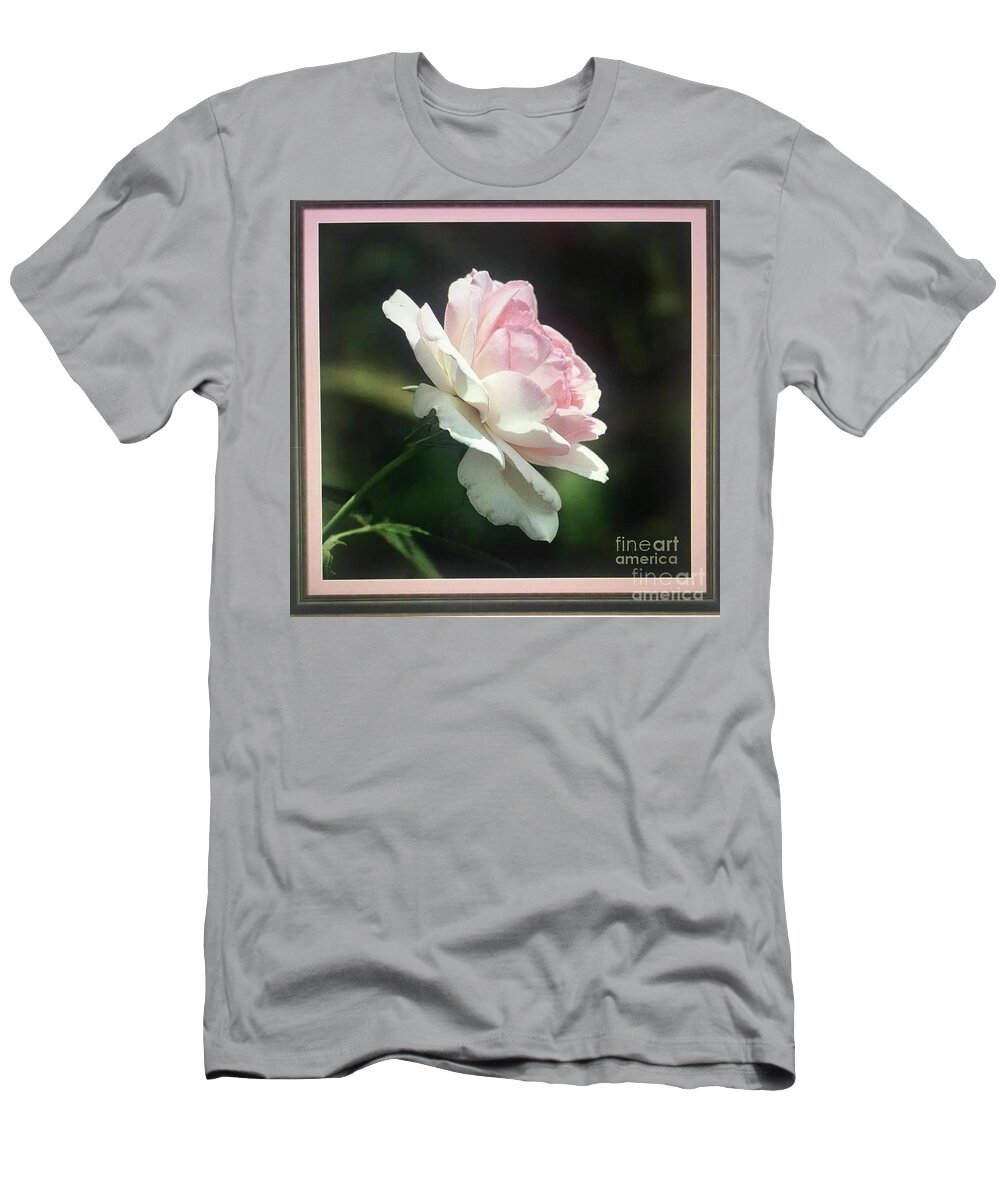 Art T-Shirt featuring the photograph Pink Rose Portrait by Jeannie Rhode