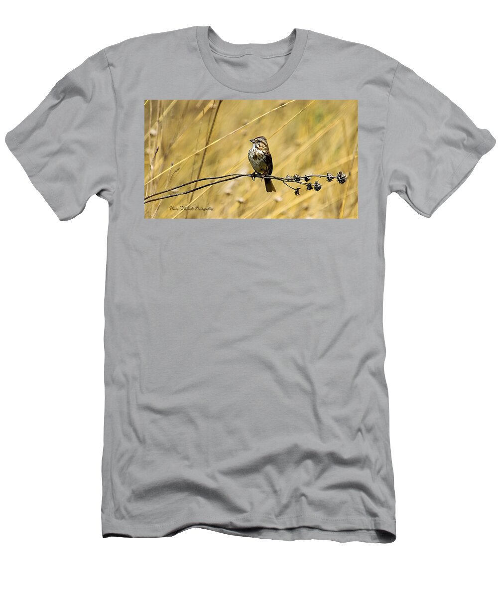 Birds T-Shirt featuring the photograph Song Sparrow by Mary Walchuck
