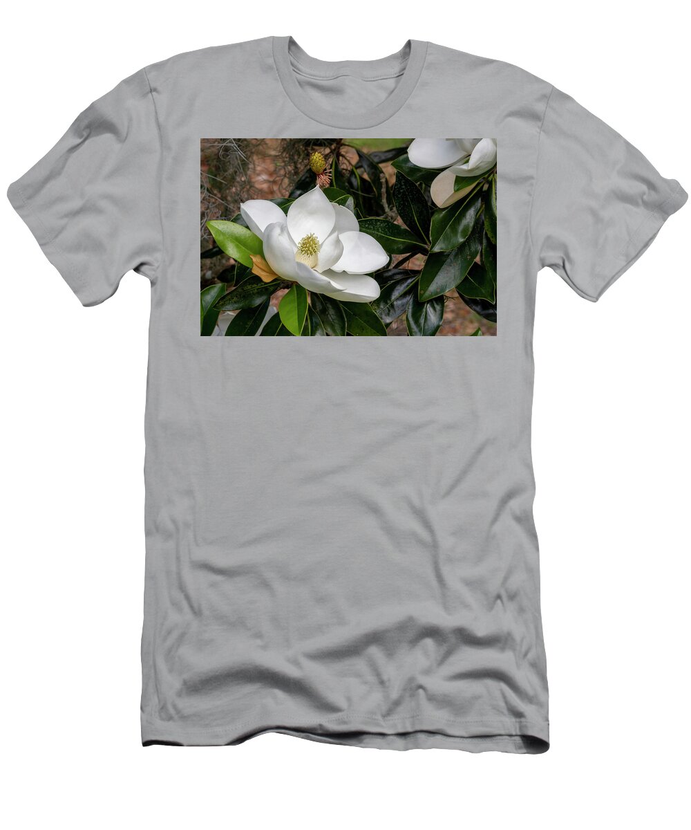 Southern Magnolia T-Shirt featuring the photograph Southern Magnolia Flower by Bradford Martin