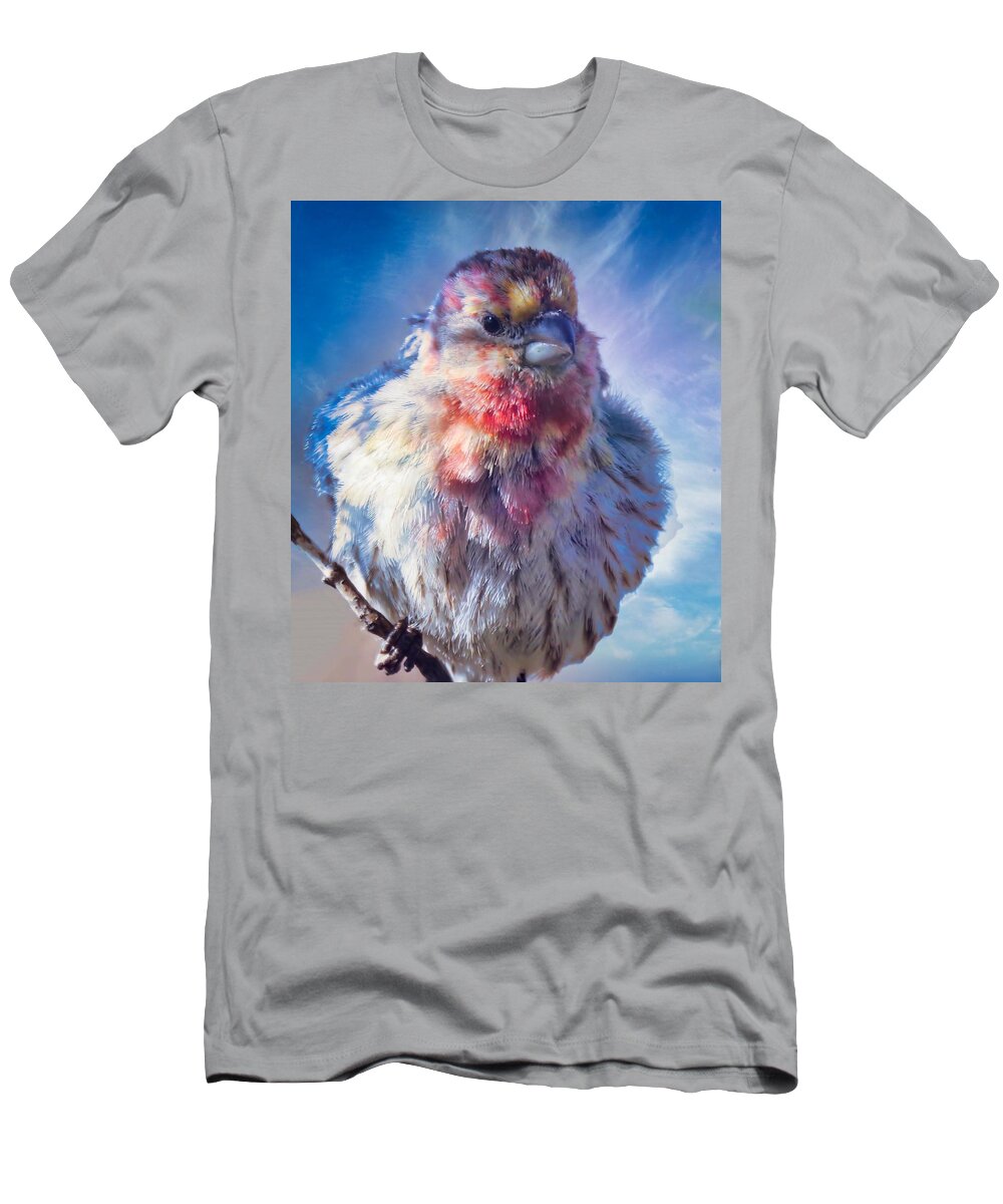 Waywardmuse T-Shirt featuring the photograph Special Male House Finch by Judy Kennedy