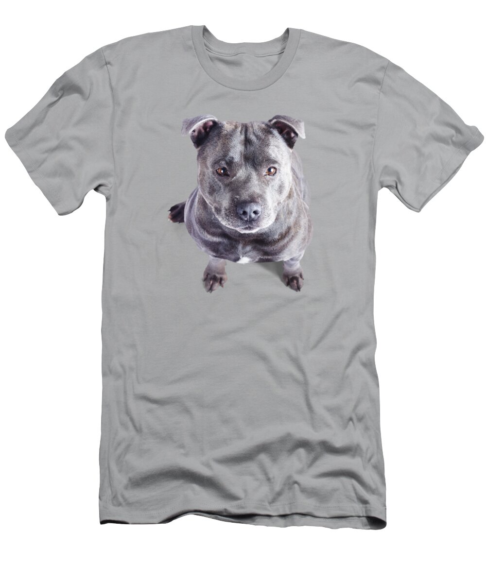 Dog T-Shirt featuring the photograph Staffordshire Bull Terrier by Jorgo Photography