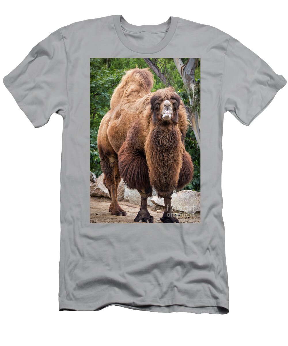 Brown T-Shirt featuring the photograph Stare Down Challenge by David Levin