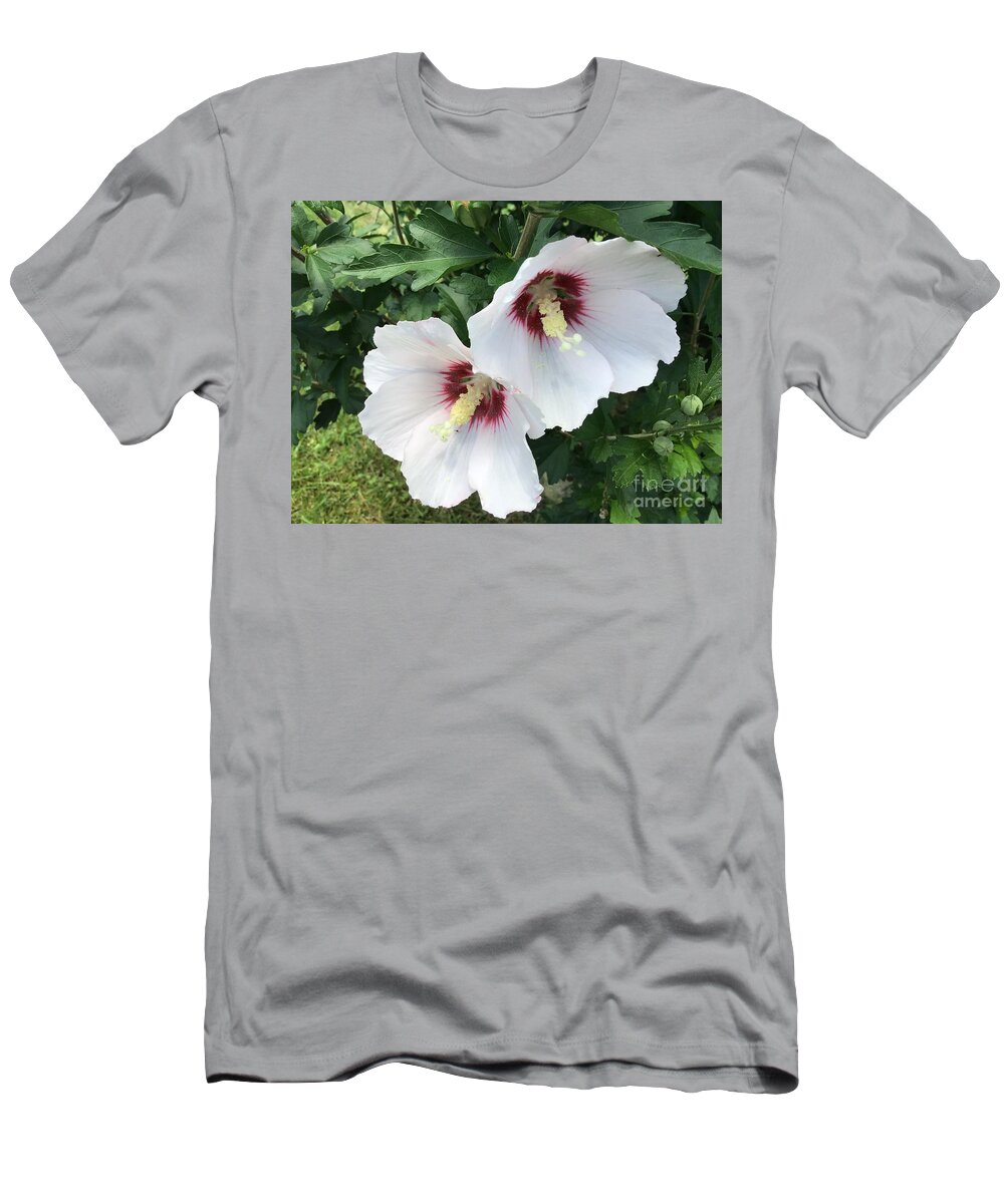 Rose Of Sharon T-Shirt featuring the photograph Hibiscus Sticking Together 2 by Catherine Wilson