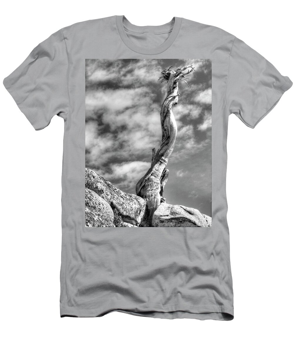 Yosemite T-Shirt featuring the photograph Still Standing by Joe Schofield