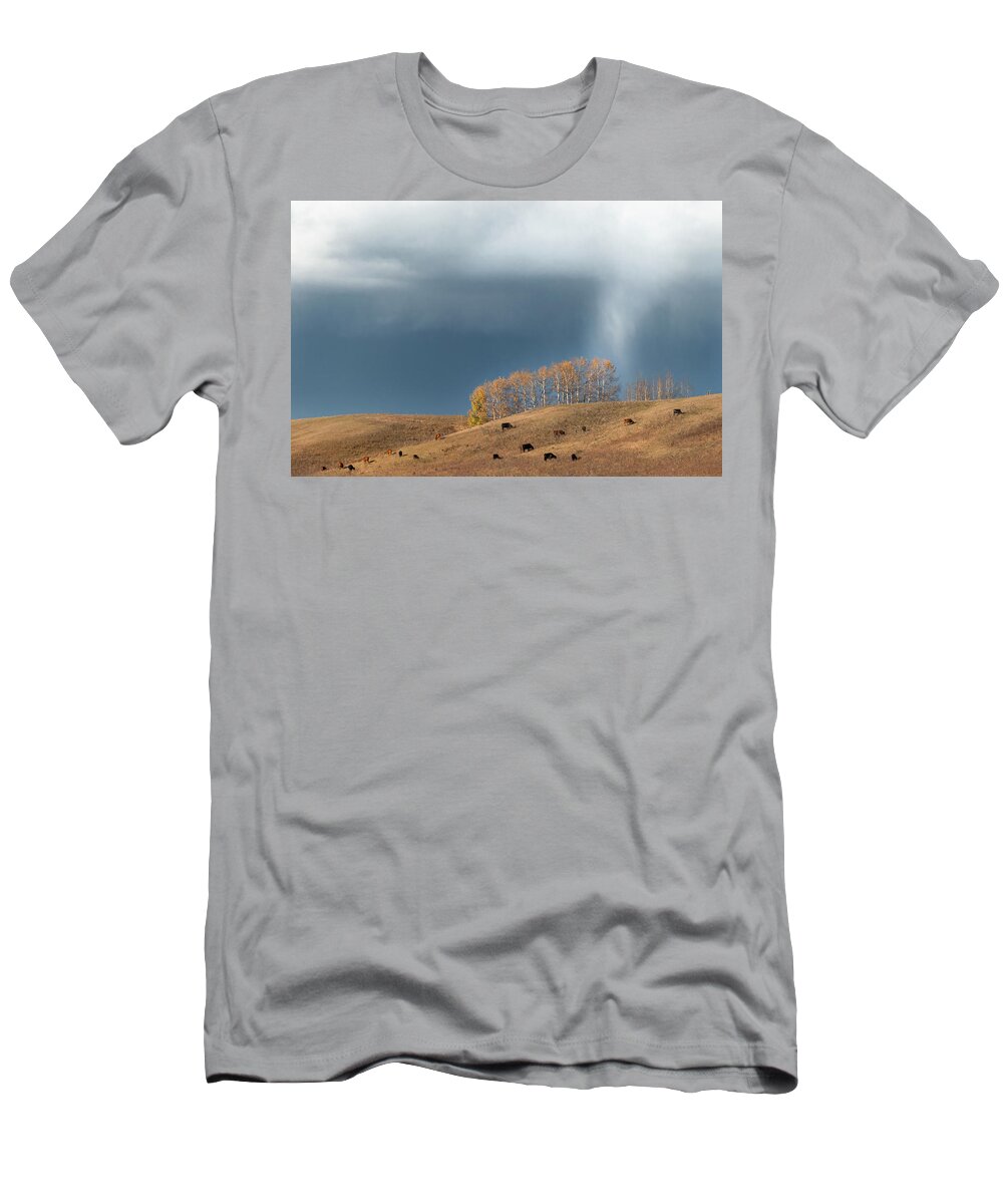 Pasture T-Shirt featuring the photograph Storm over an Alberta fall pasture by Phil And Karen Rispin