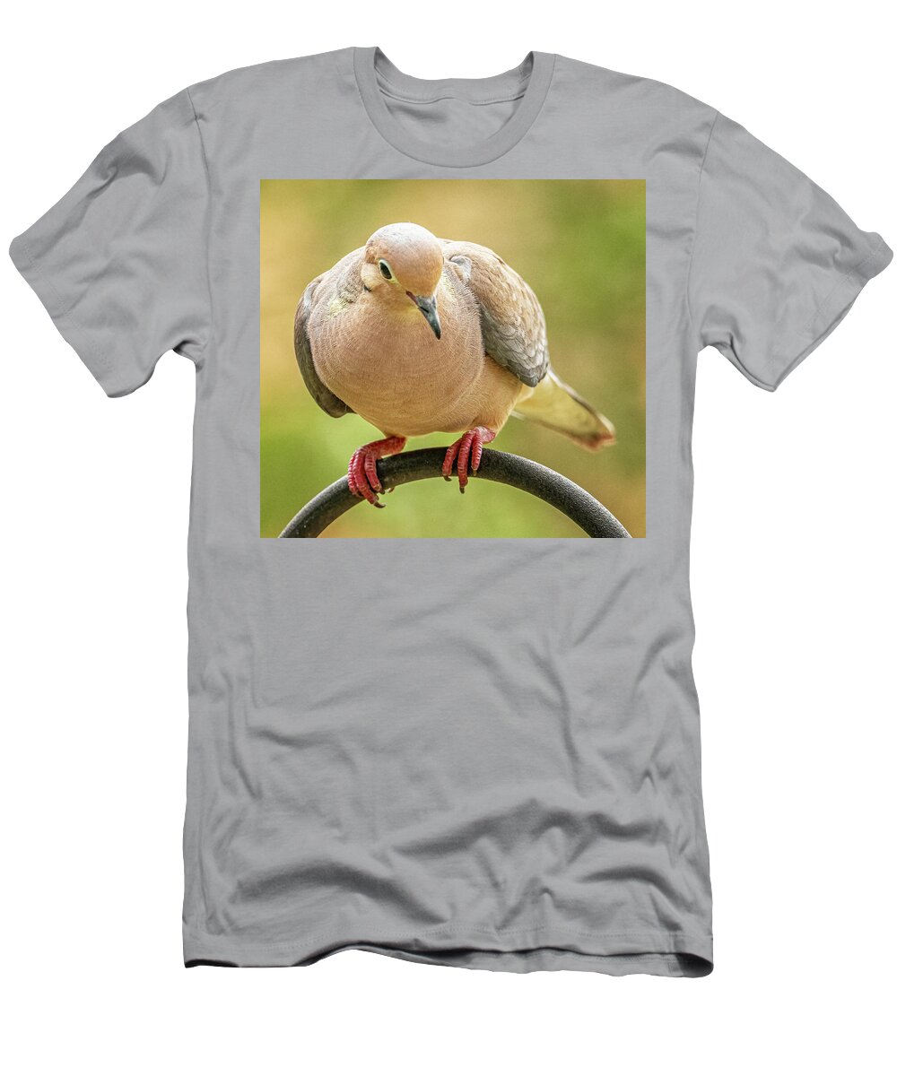 July 2022 T-Shirt featuring the photograph Summer Mourning Dove by Jim Moore