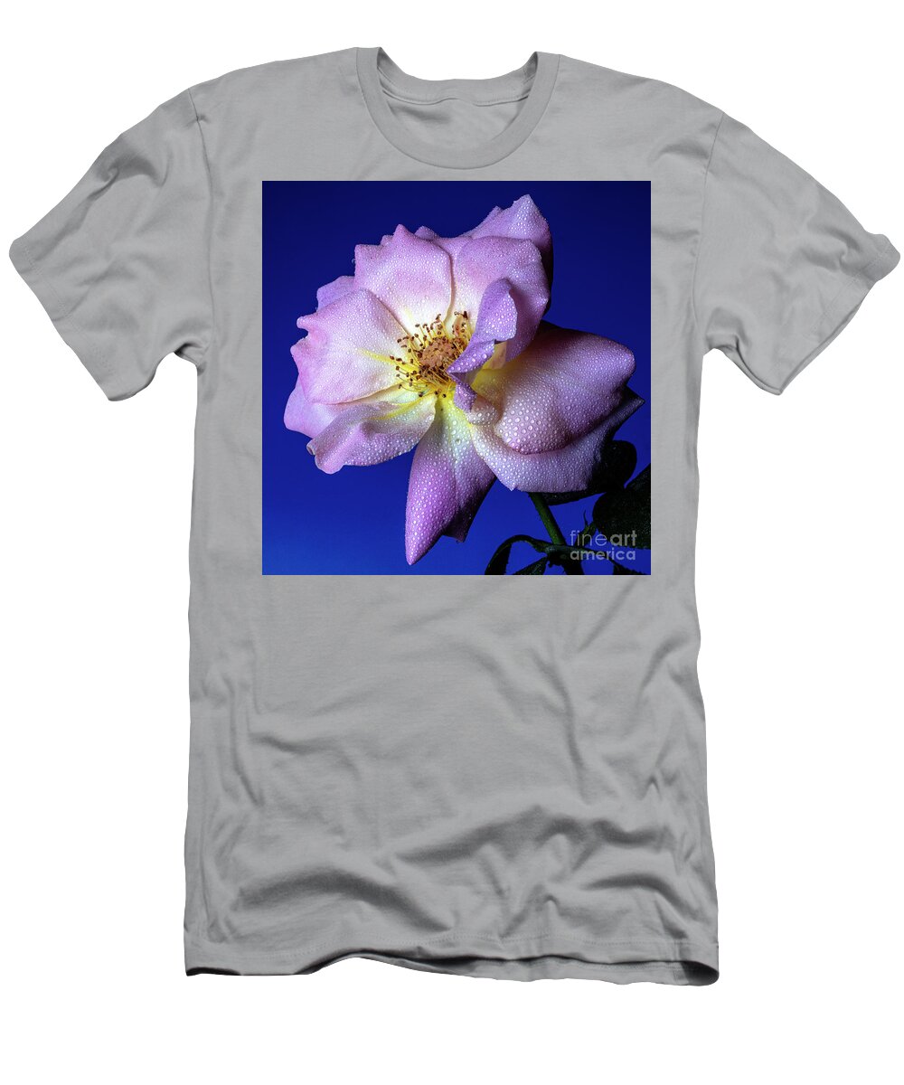 Rose T-Shirt featuring the photograph Peaceful by Doug Norkum