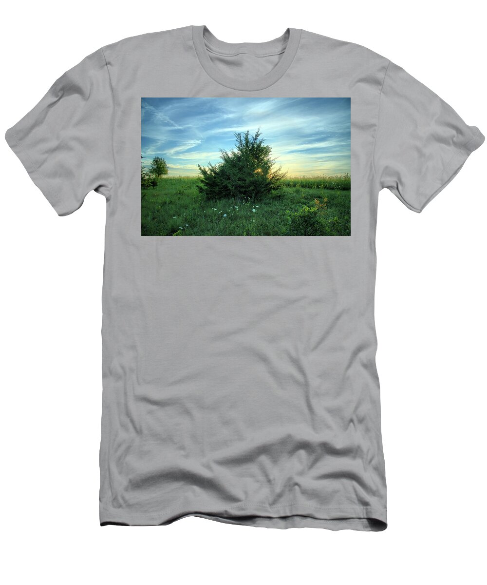 Sunrise T-Shirt featuring the photograph Sunburst Cedar by Bonfire Photography