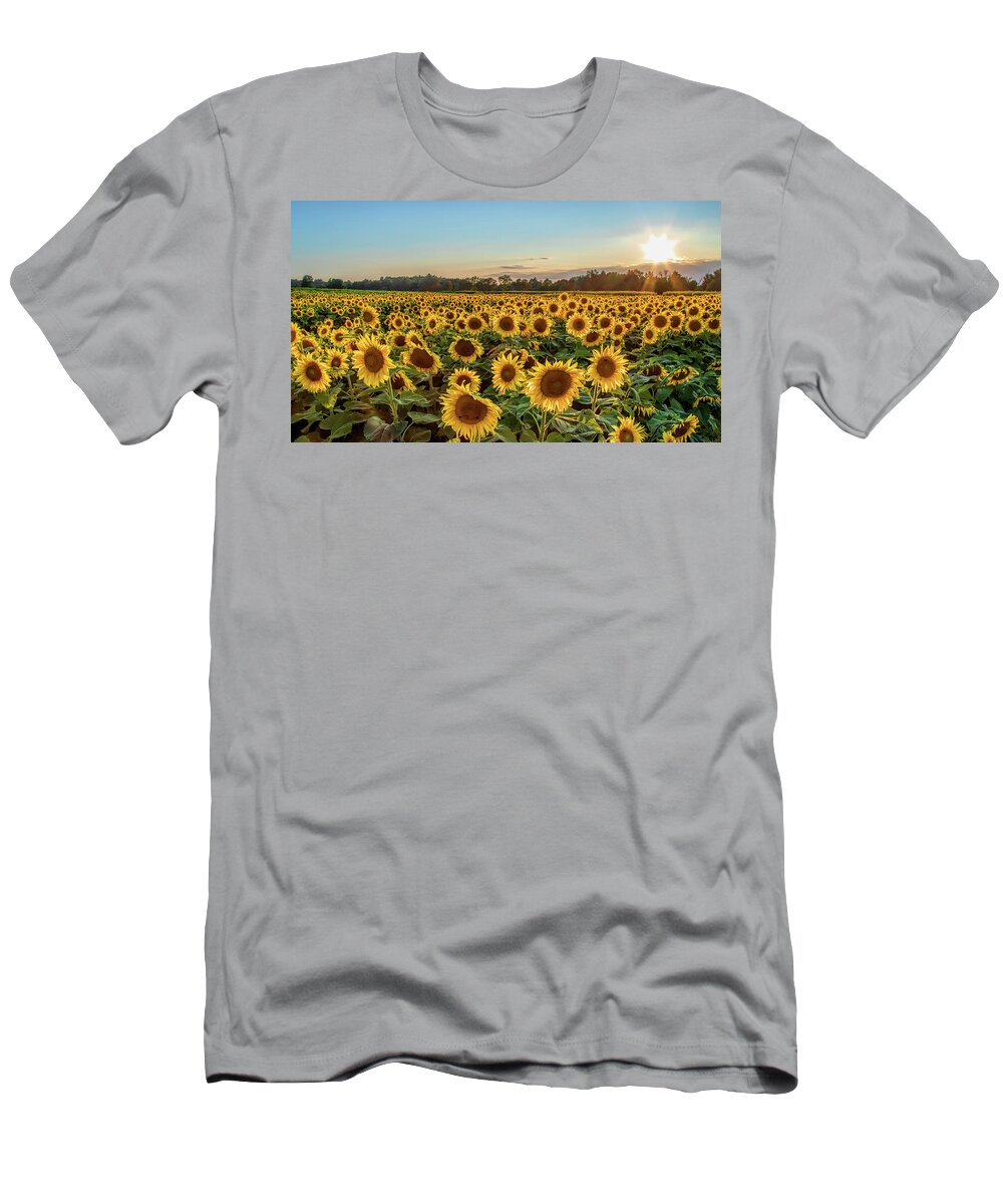 Sunflower T-Shirt featuring the photograph Sunflower City by Rod Best