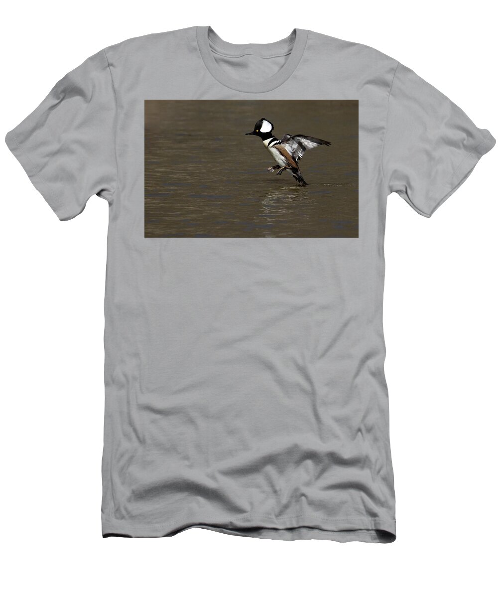 Duck T-Shirt featuring the photograph Tailfeather Drag Landing by Art Cole