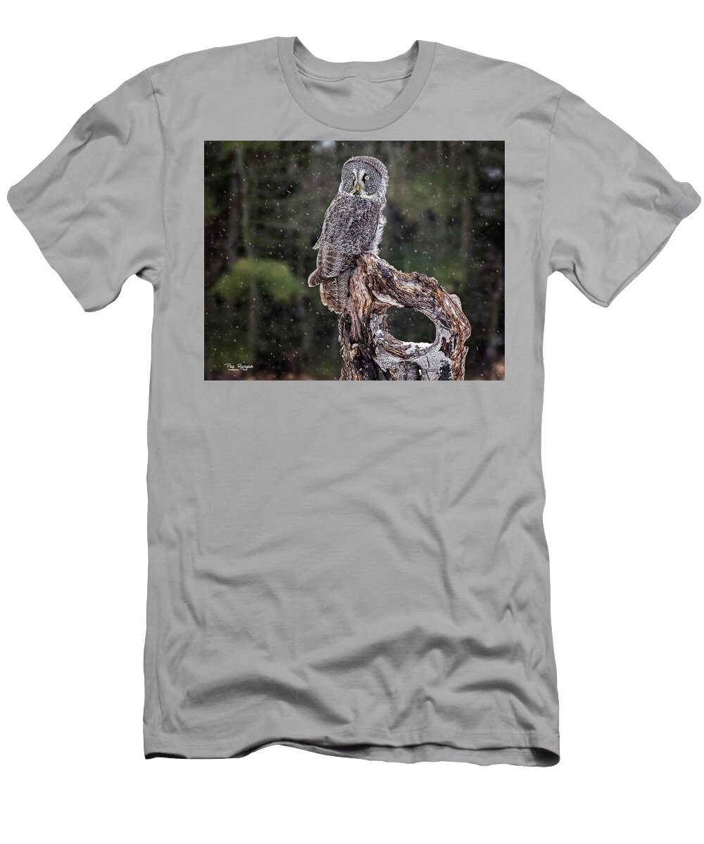Owl T-Shirt featuring the photograph The Great Gray by Peg Runyan