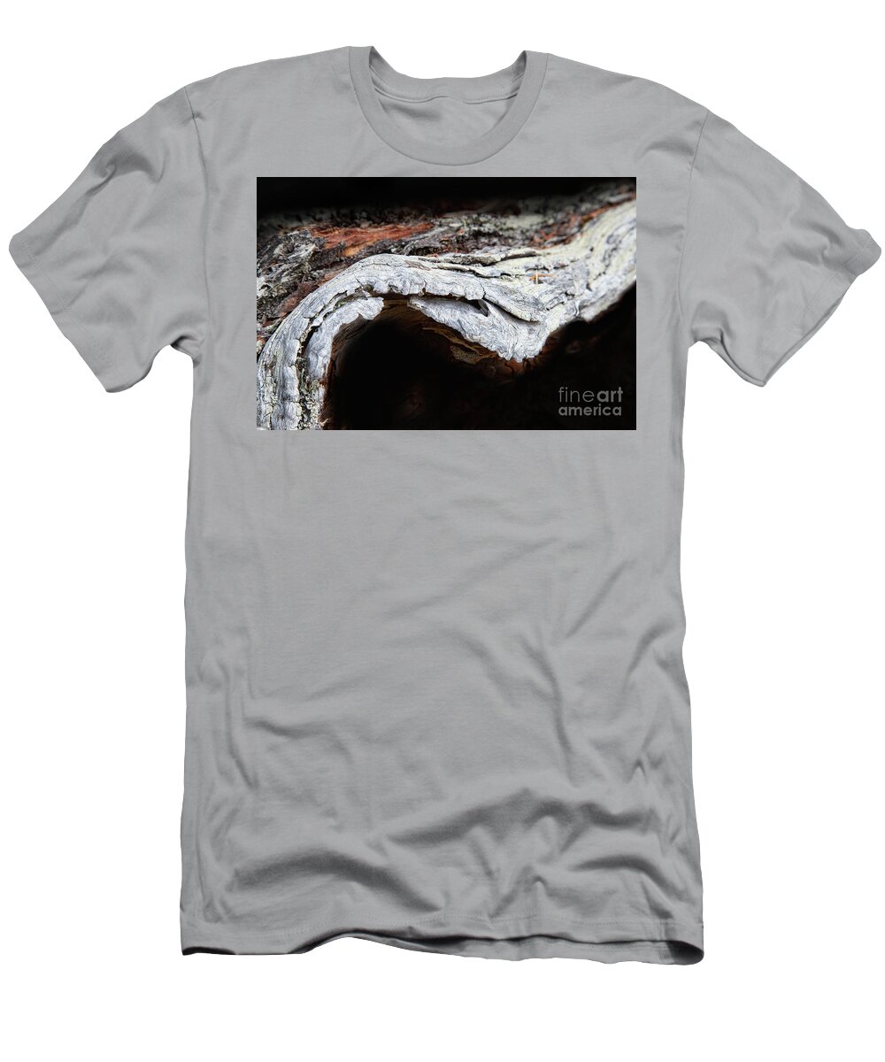 Abstracts T-Shirt featuring the photograph The Journey by Marilyn Cornwell