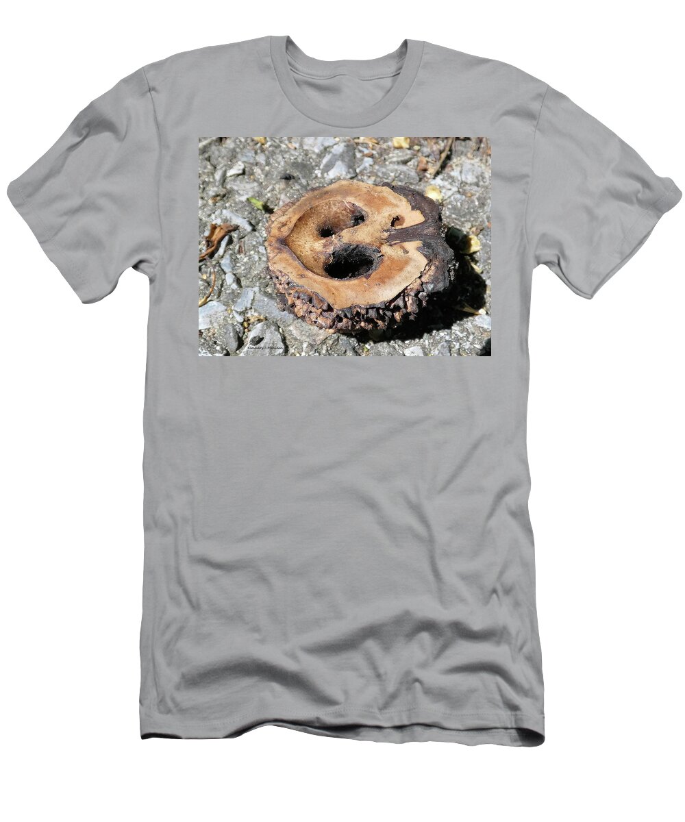 Walnut T-Shirt featuring the photograph The Love of A Walnut by Kimmary I MacLean