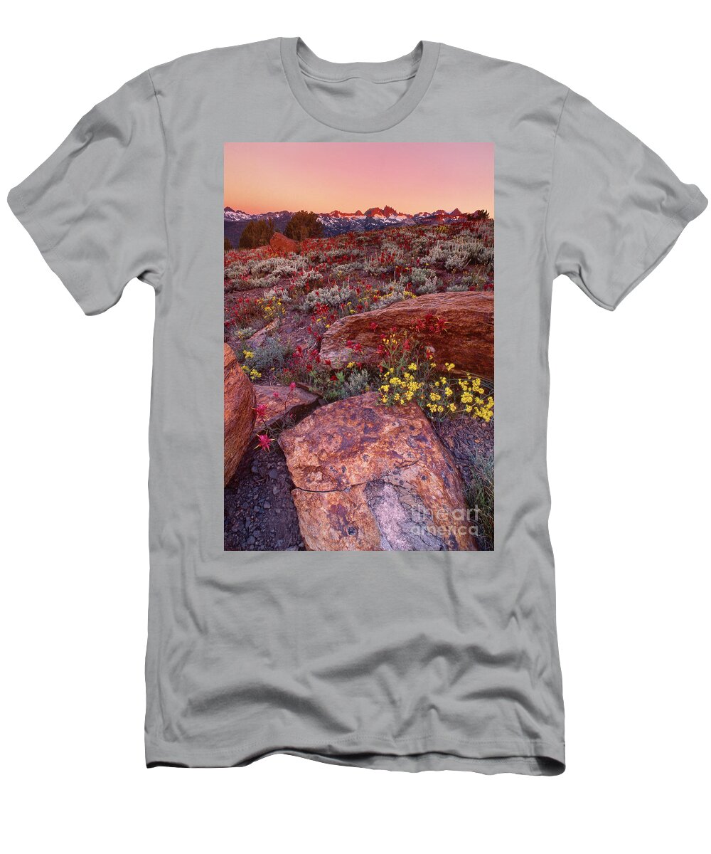 Dave Welling T-Shirt featuring the photograph The Minarets Eastern Sierras California by Dave Welling