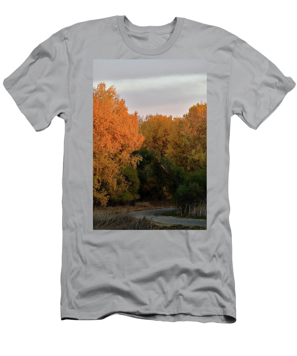 Fall T-Shirt featuring the photograph The Sousa Marsh Trail in San Luis NWR by Amazing Action Photo Video