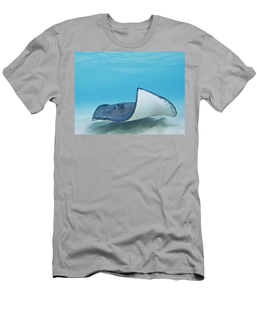 Ocean T-Shirt featuring the photograph The Wave by Lynne Browne