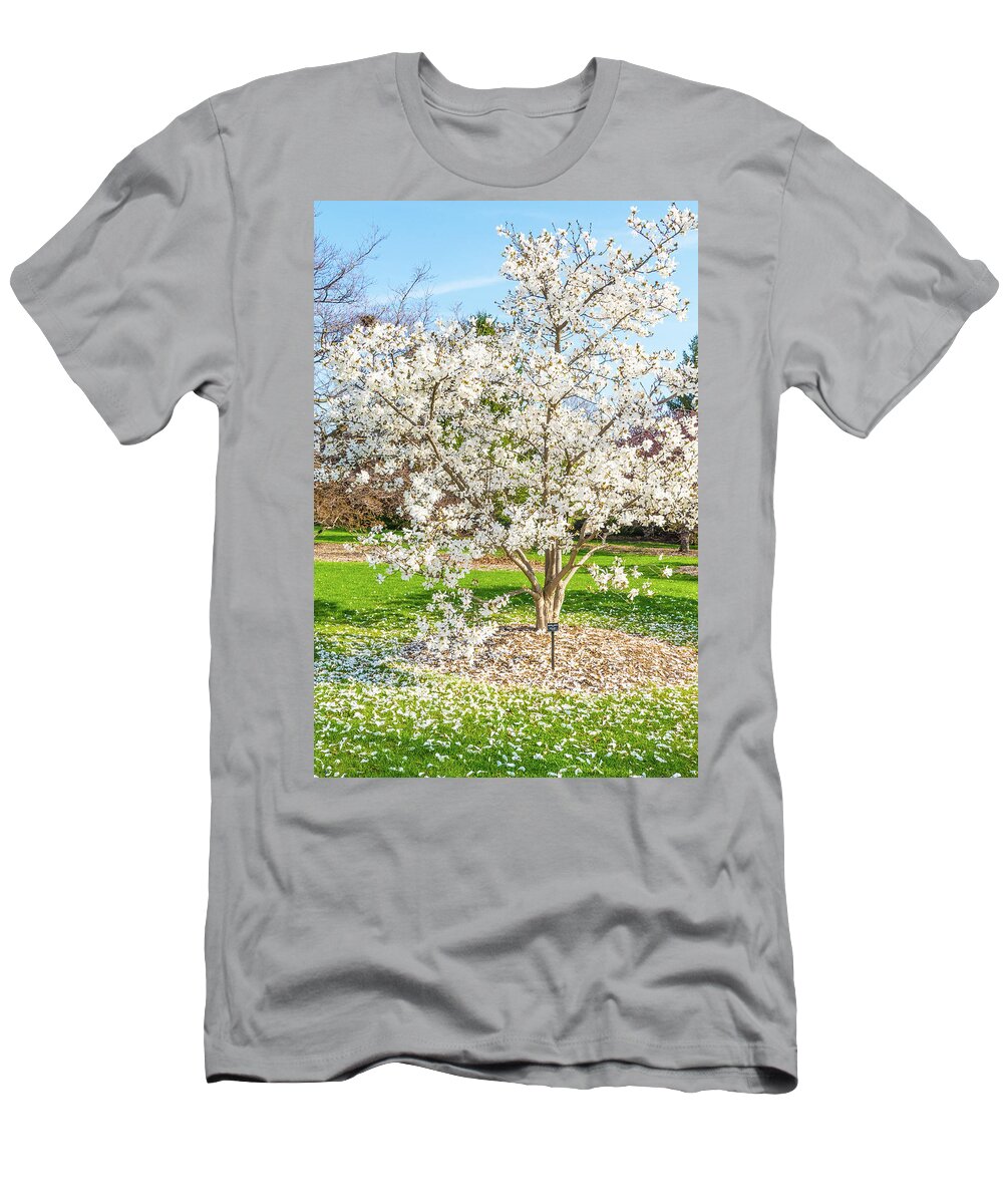 White Leaves Blooming Spring Springtime T-Shirt featuring the photograph Tree Blooming During Springtime - Cantigny Park, Wheaton, Illinois by David Morehead