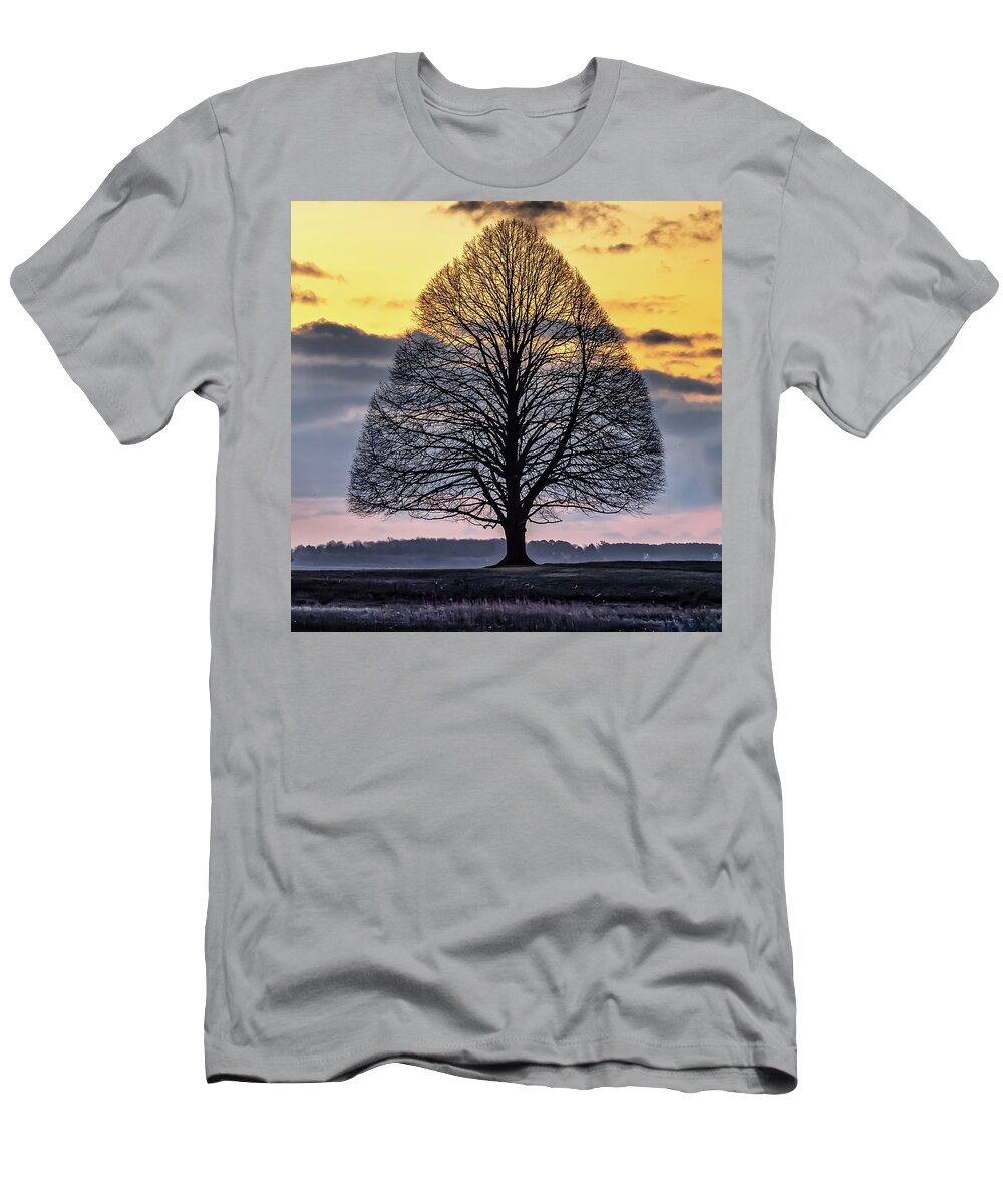 Tree. Sunrise T-Shirt featuring the photograph Tree of Shadows by William Bretton