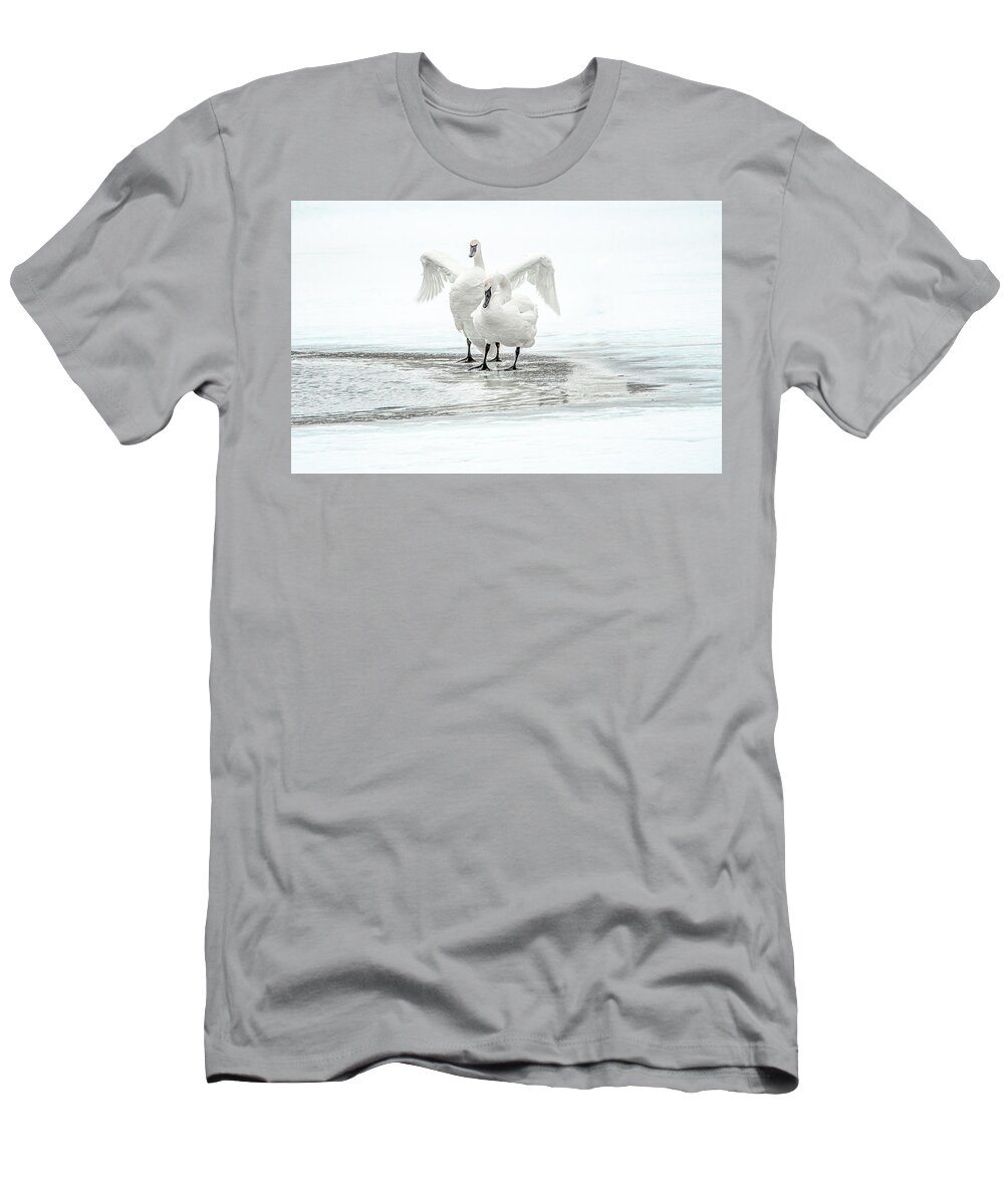 Wyoming T-Shirt featuring the photograph Trumpeter Swans, Natural Elegance and Grace by Marcy Wielfaert