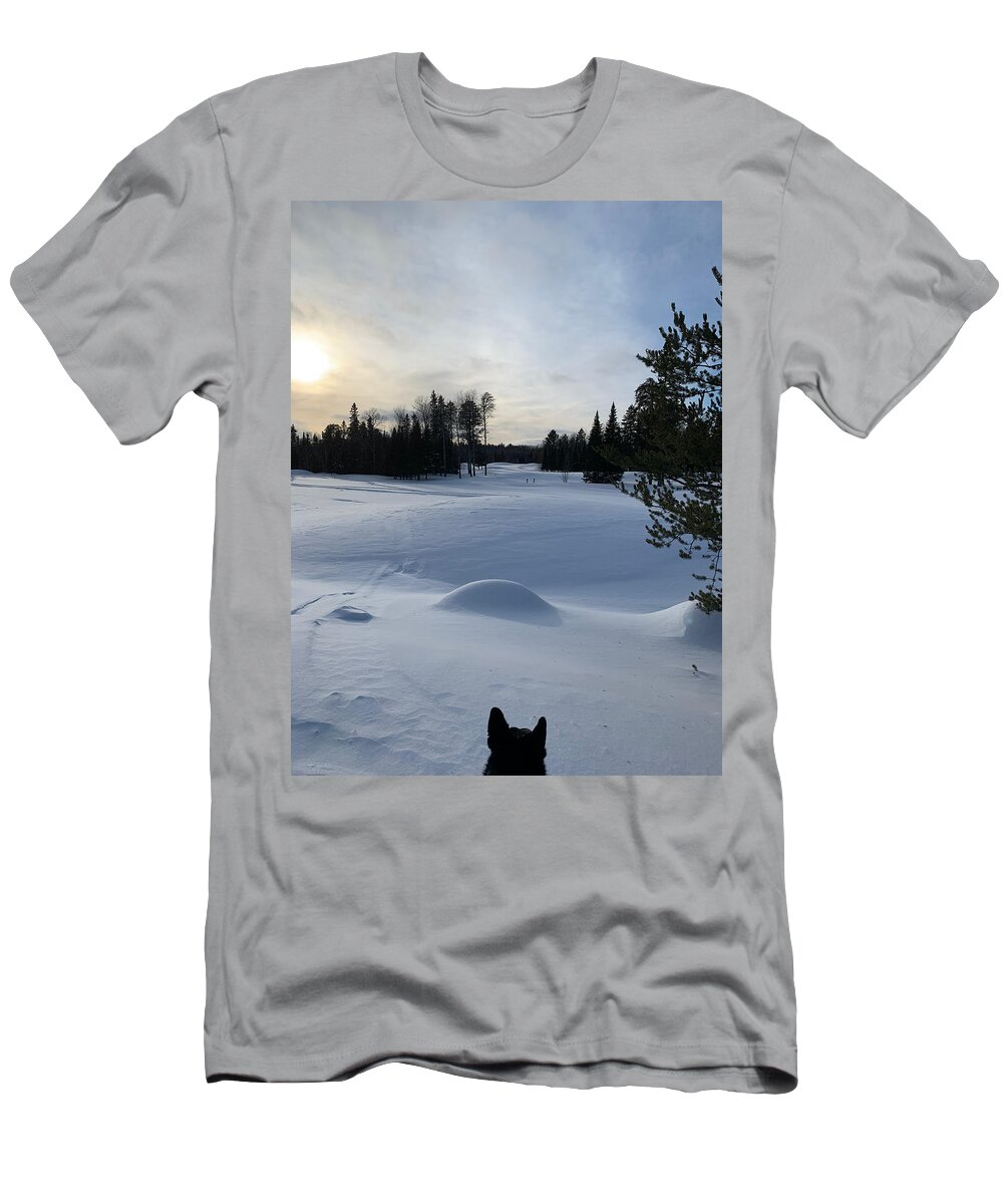 Winter T-Shirt featuring the photograph Walk in the Woods by Judy Dimentberg