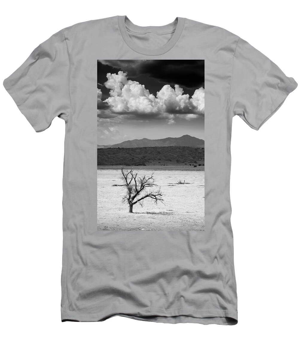 San Diego T-Shirt featuring the photograph Warner Springs Tree and Small Monsoon Clouds by William Dunigan