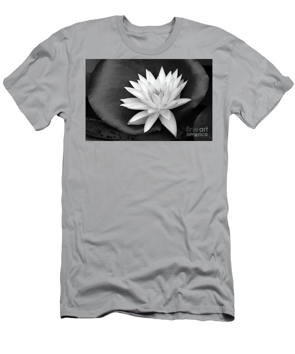 Water Lily; Water Lilies; Lily; Lilies; Flowers; Flower; Floral; Flora; White; White Water Lily; White Flowers; Photography; Black And White; Simple; Decorative; Décor; Macro; Close-up T-Shirt featuring the photograph Water Lily 1 in Black and White by Tina Uihlein