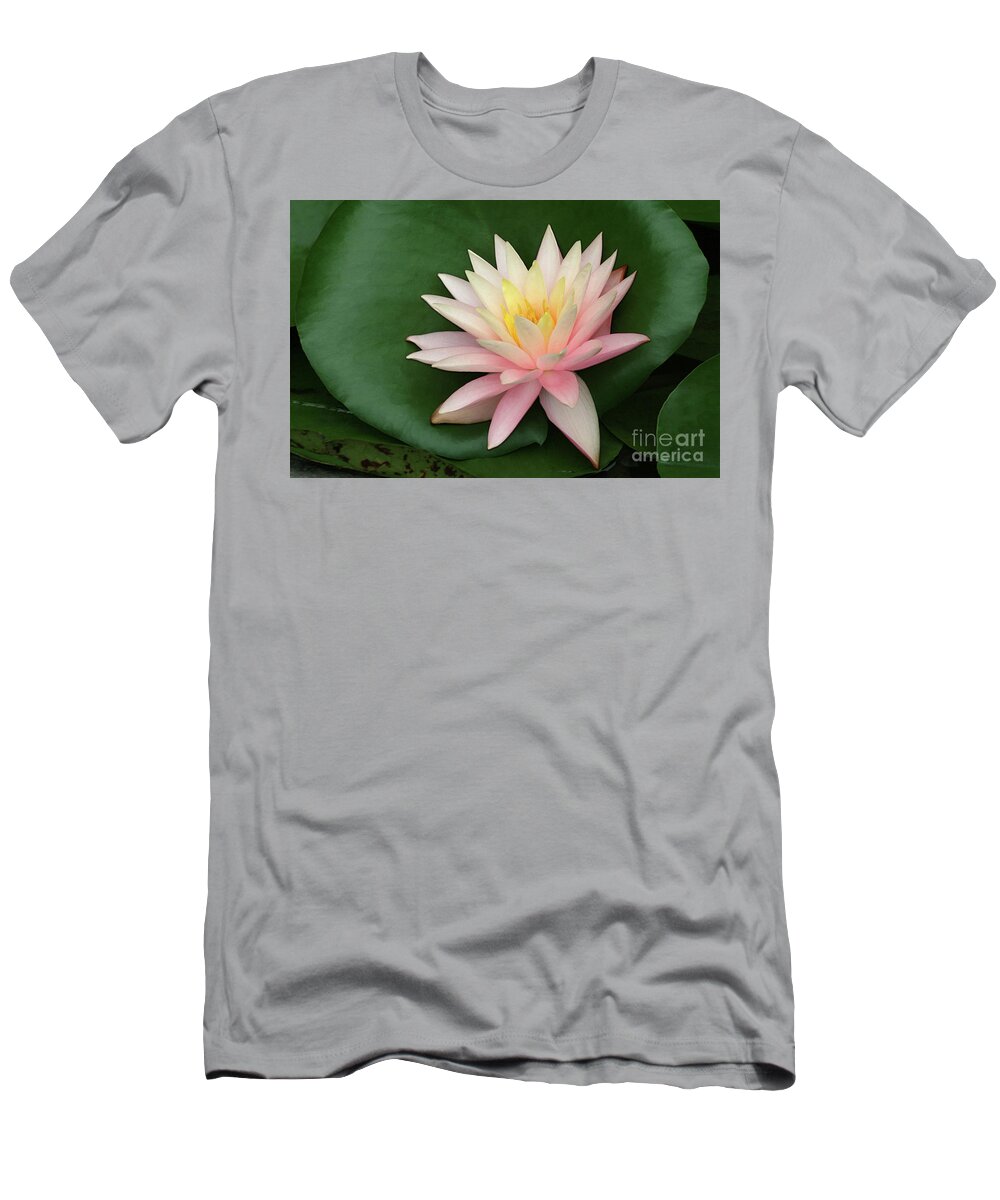 Water Lily; Water Lilies; Lily; Lilies; Flowers; Flower; Floral; Flora; White; White Water Lily; White Flowers; Green; Pink; Digital Art; Photography; Painting; Simple; Decorative; Décor; Macro; Close-up T-Shirt featuring the photograph Water Lily #1 by Tina Uihlein