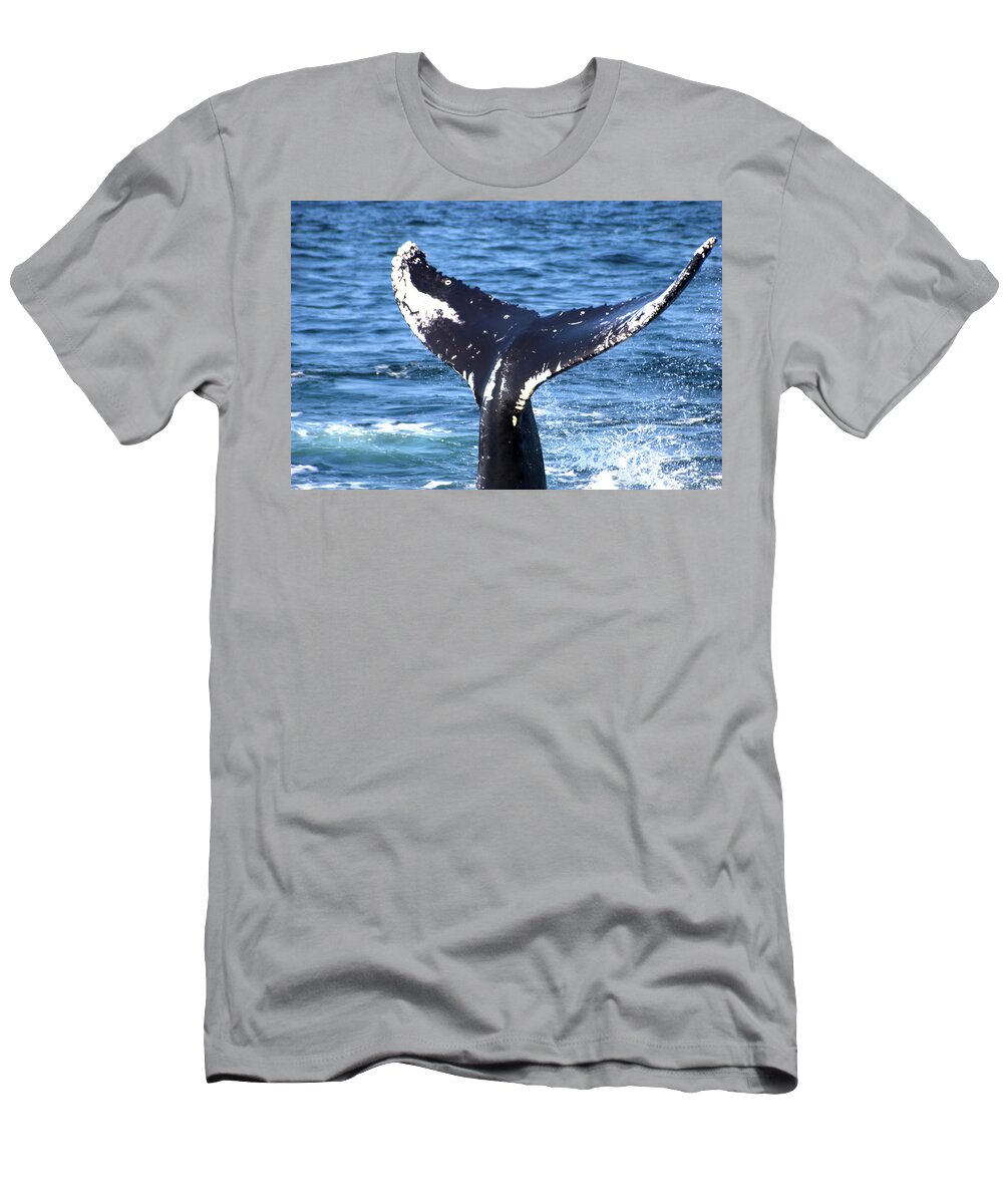 Whale T-Shirt featuring the photograph Whale Fluke 1 by Flinn Hackett