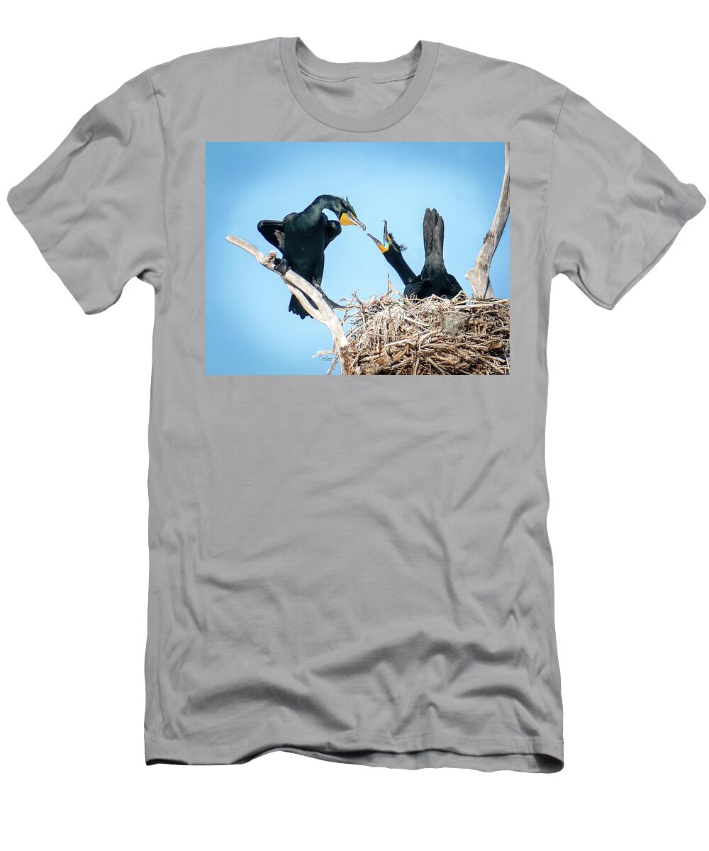 Cormorants T-Shirt featuring the photograph Where's my stick by Judi Dressler
