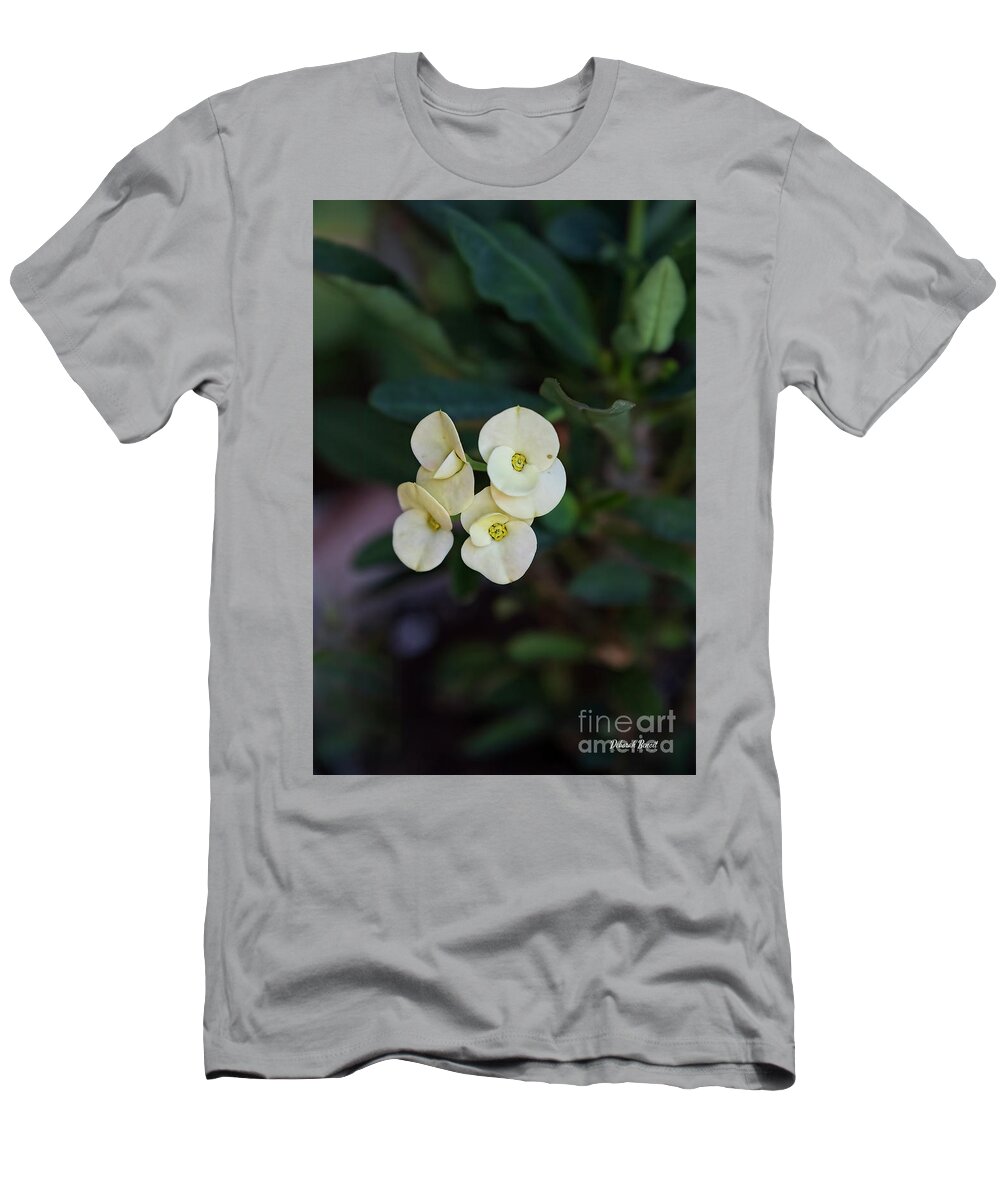 Thorns T-Shirt featuring the photograph White Crown of Thorns by Deborah Benoit
