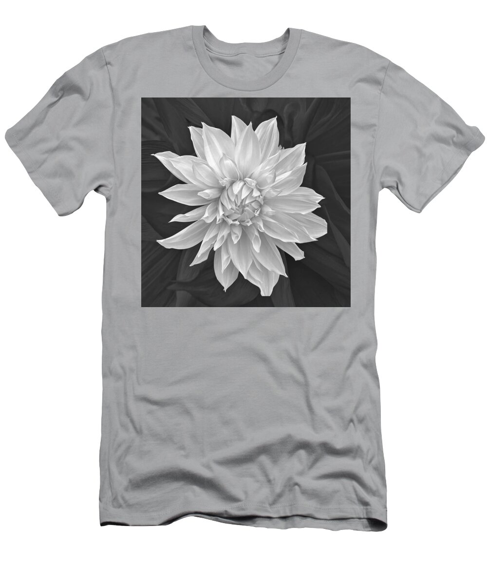 Dahlia T-Shirt featuring the photograph White Dahlia bw by Jerry Abbott
