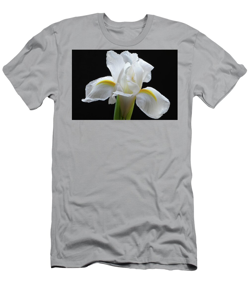  Iris Flowers T-Shirt featuring the photograph White Iris Flower by Terence Davis