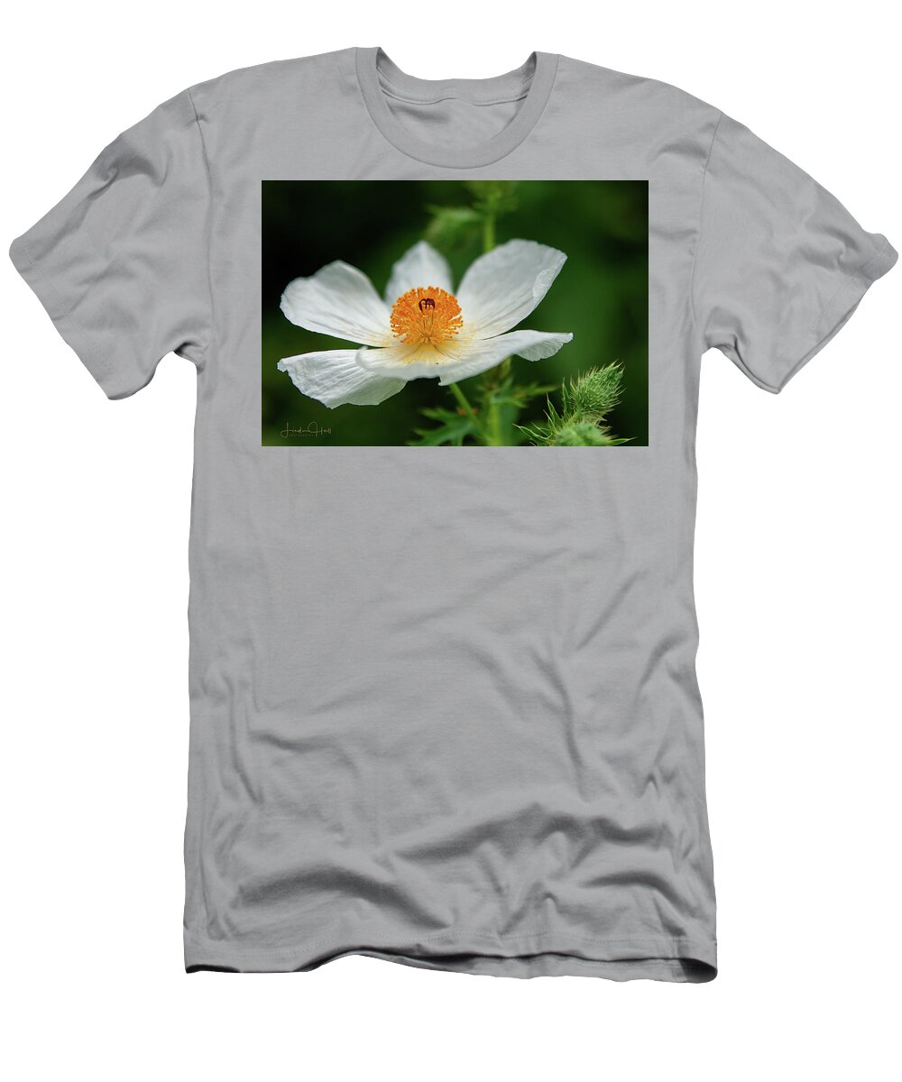 White T-Shirt featuring the photograph White Prickly Poppy by Linda Lee Hall