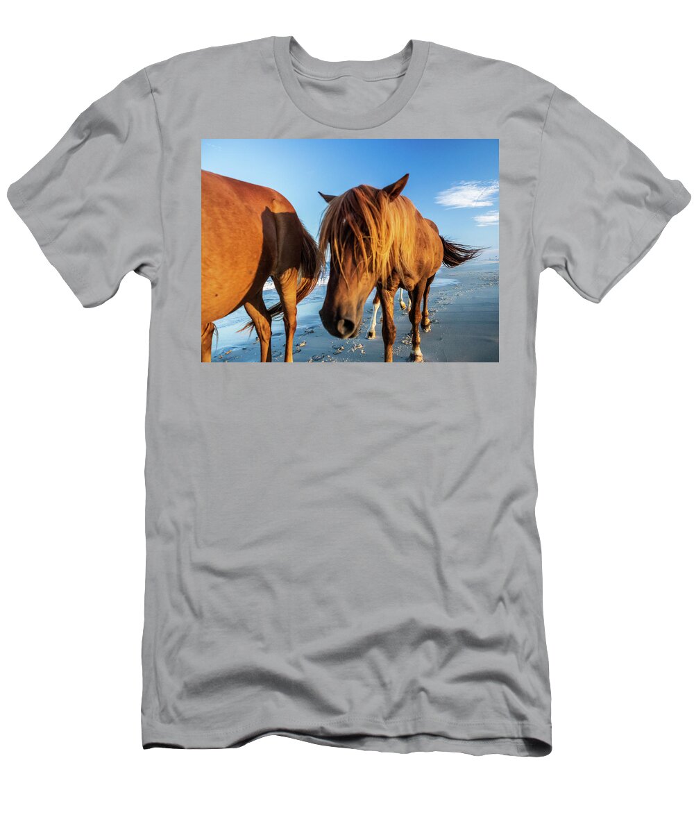 5-places T-Shirt featuring the photograph Wild Pony Head Shot Assateague Island by Louis Dallara