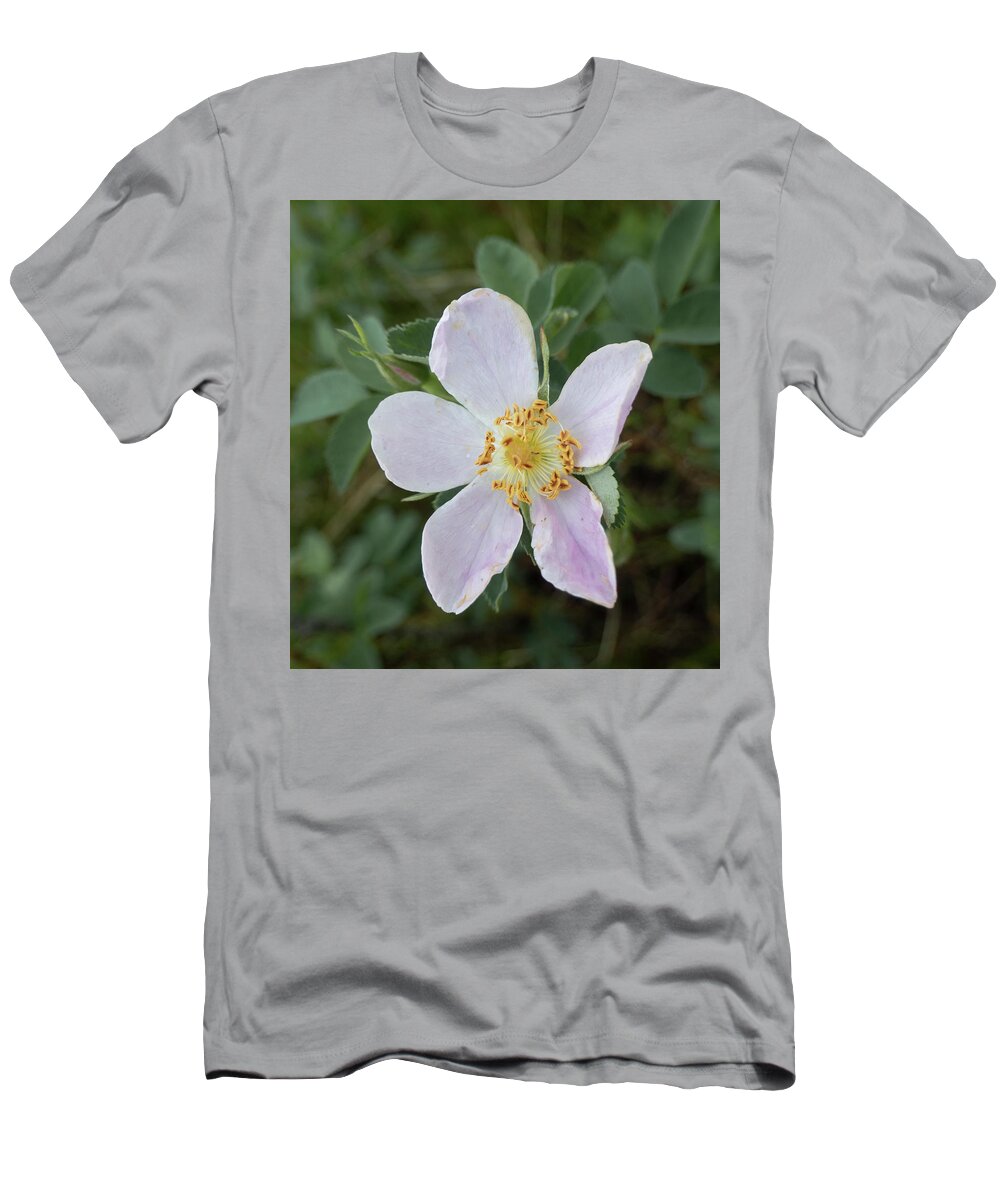 Wild Rose T-Shirt featuring the photograph Wild Rose Flower by Phil And Karen Rispin