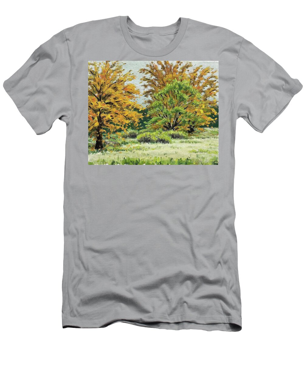 Landscape T-Shirt featuring the painting Willow River State Park by Rick Hansen