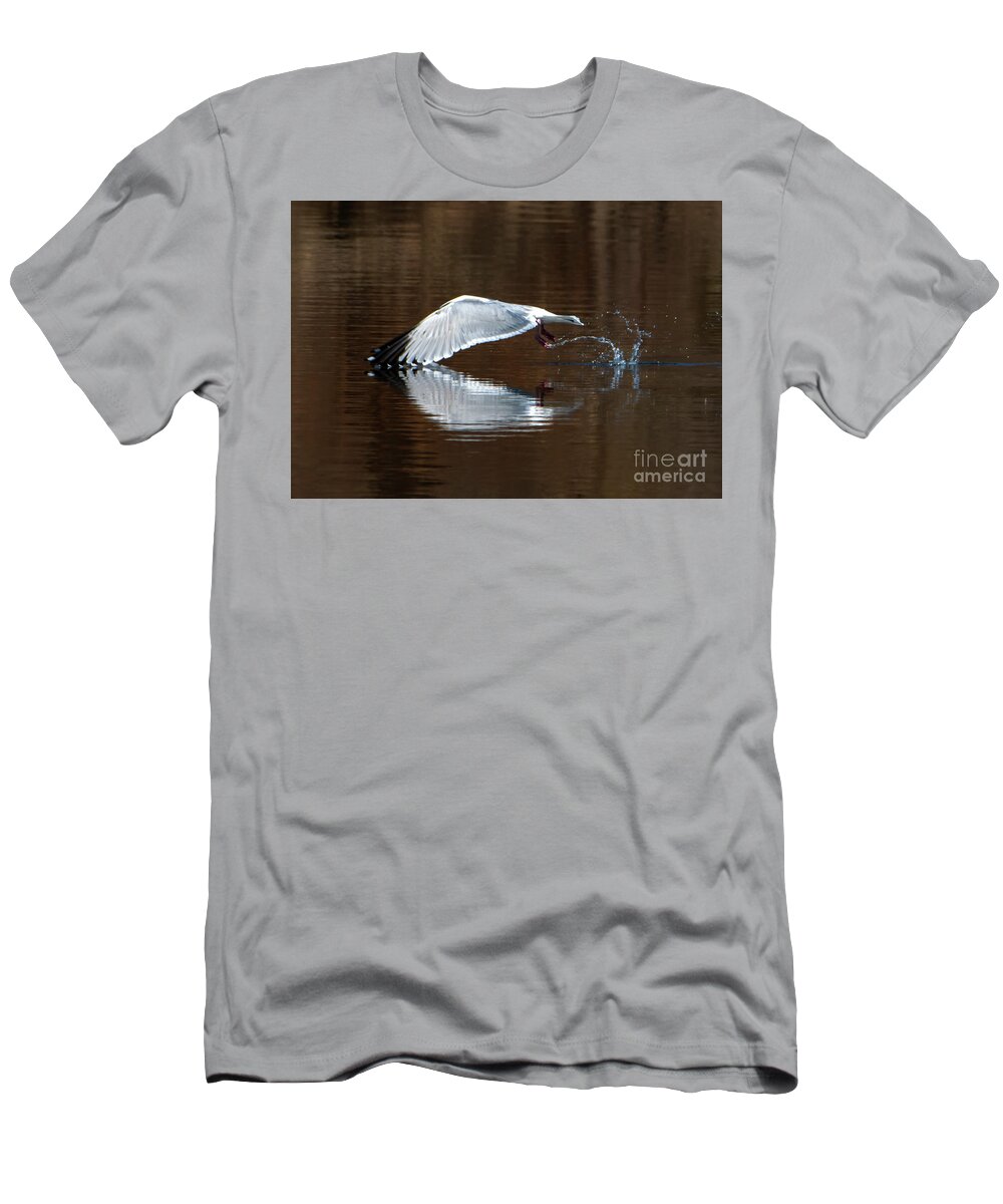 Wings Touching T-Shirt featuring the photograph Wings Touching in Water Reflection of Bird by Sandra J's