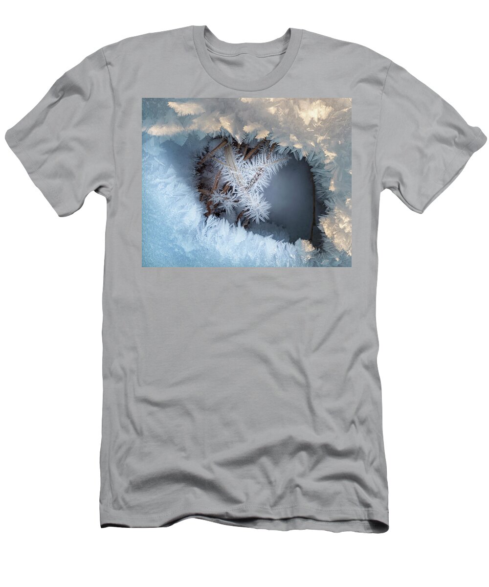 Winter T-Shirt featuring the photograph Winter Eye Pattern by Karen Rispin
